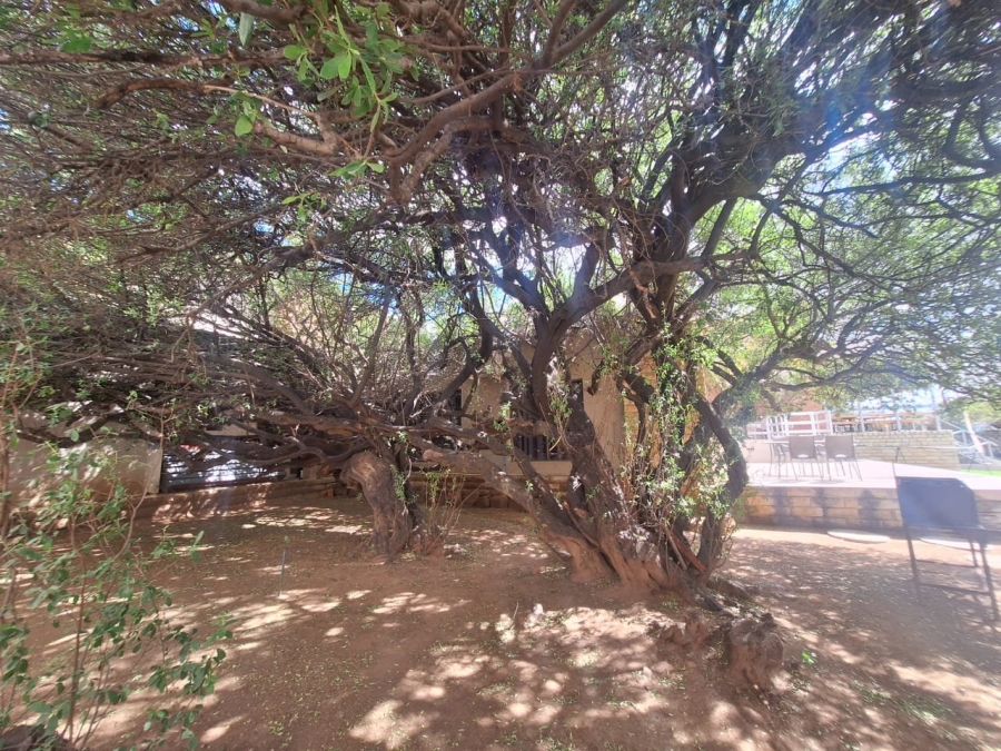 Commercial Property for Sale in Kellys View Free State